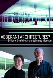  Aberrant Architectures?: Diller + Scofidio at the Whitney Museum Poster