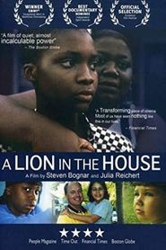  A Lion in the House Poster