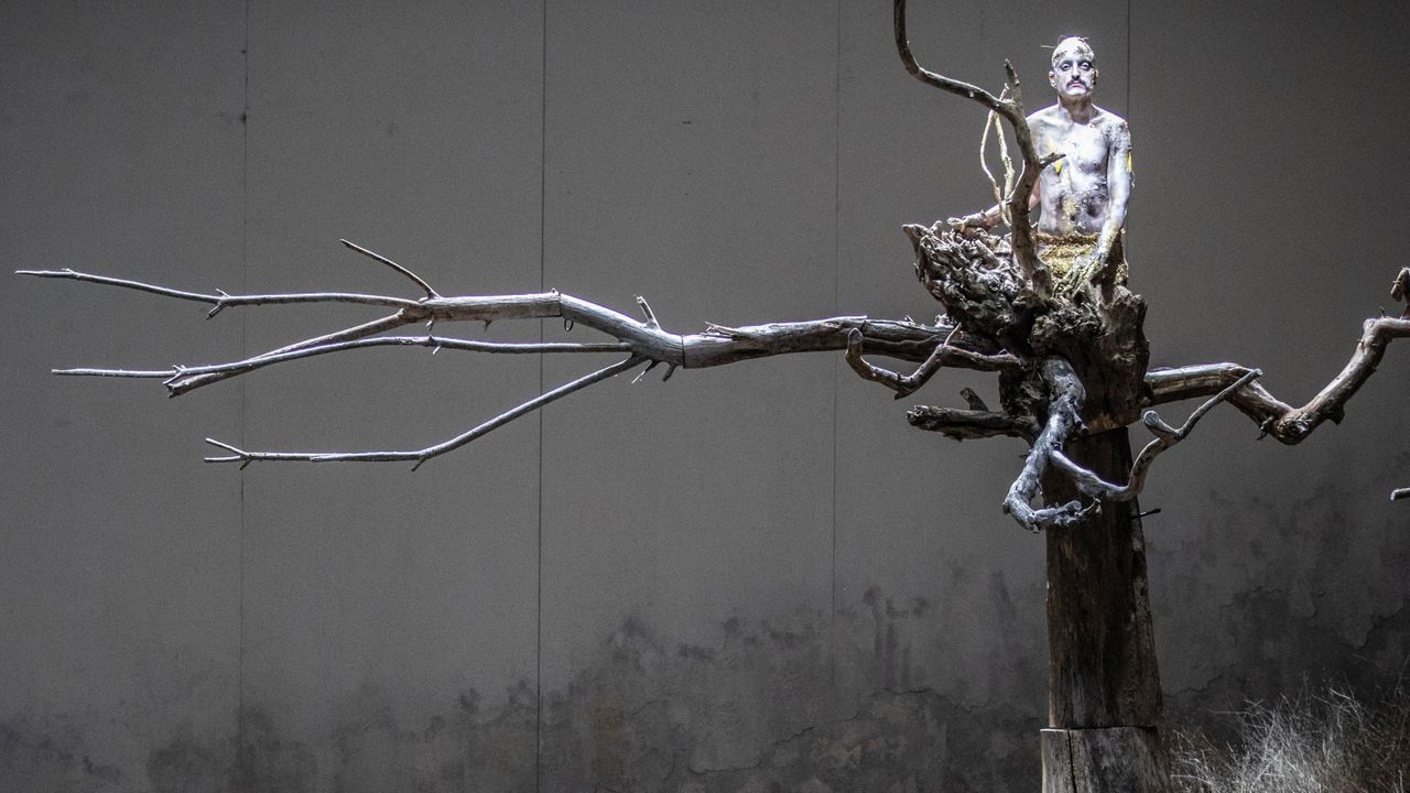 RimskyKorsakov The Golden Cockerel (2021) Where to Watch and Stream