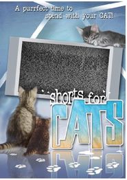  Shorts for Cats Poster