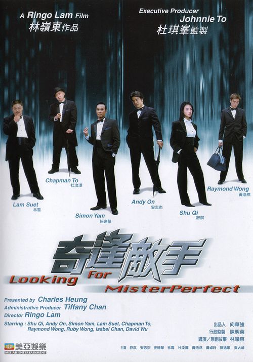 Looking for Mr. Perfect Poster