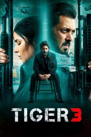  Tiger 3 Poster