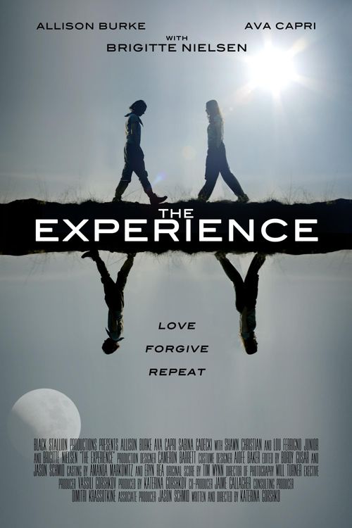 The Experience Poster