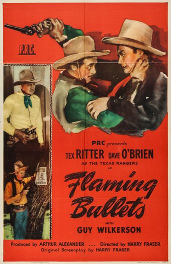 Flaming Bullets Poster