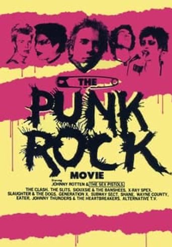  The Punk Rock Movie Poster