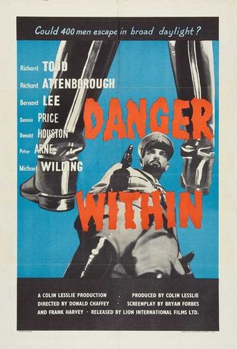  Danger Within Poster