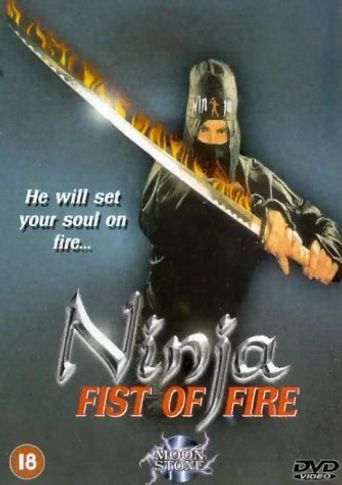  Ninja Fist of Fire Poster