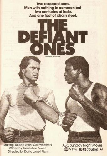  The Defiant Ones Poster