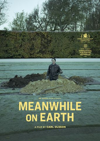  Meanwhile on Earth Poster