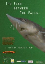 The Fish Between the Falls Poster