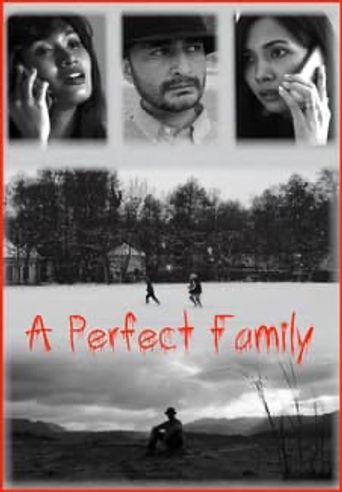  A Perfect Family Poster
