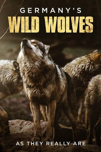  Germany's Wild Wolves - As They Really Are Poster