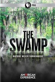  The Swamp Poster