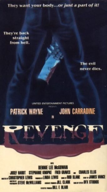  Revenge Poster