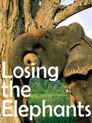  Losing the Elephants Poster