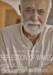  Reflection of Waves Poster