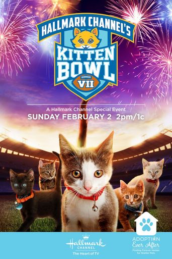  Kitten Bowl VII Poster