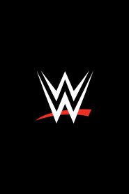  WWE: The Attitude Era Poster