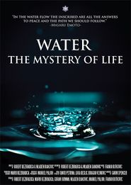  Water the Mystery of Life Poster