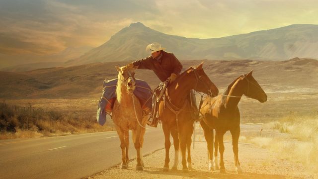 The Long Rider Backdrop