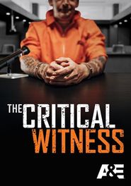  The Critical Witness Poster