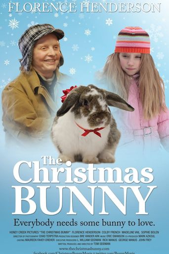  The Christmas Bunny Poster