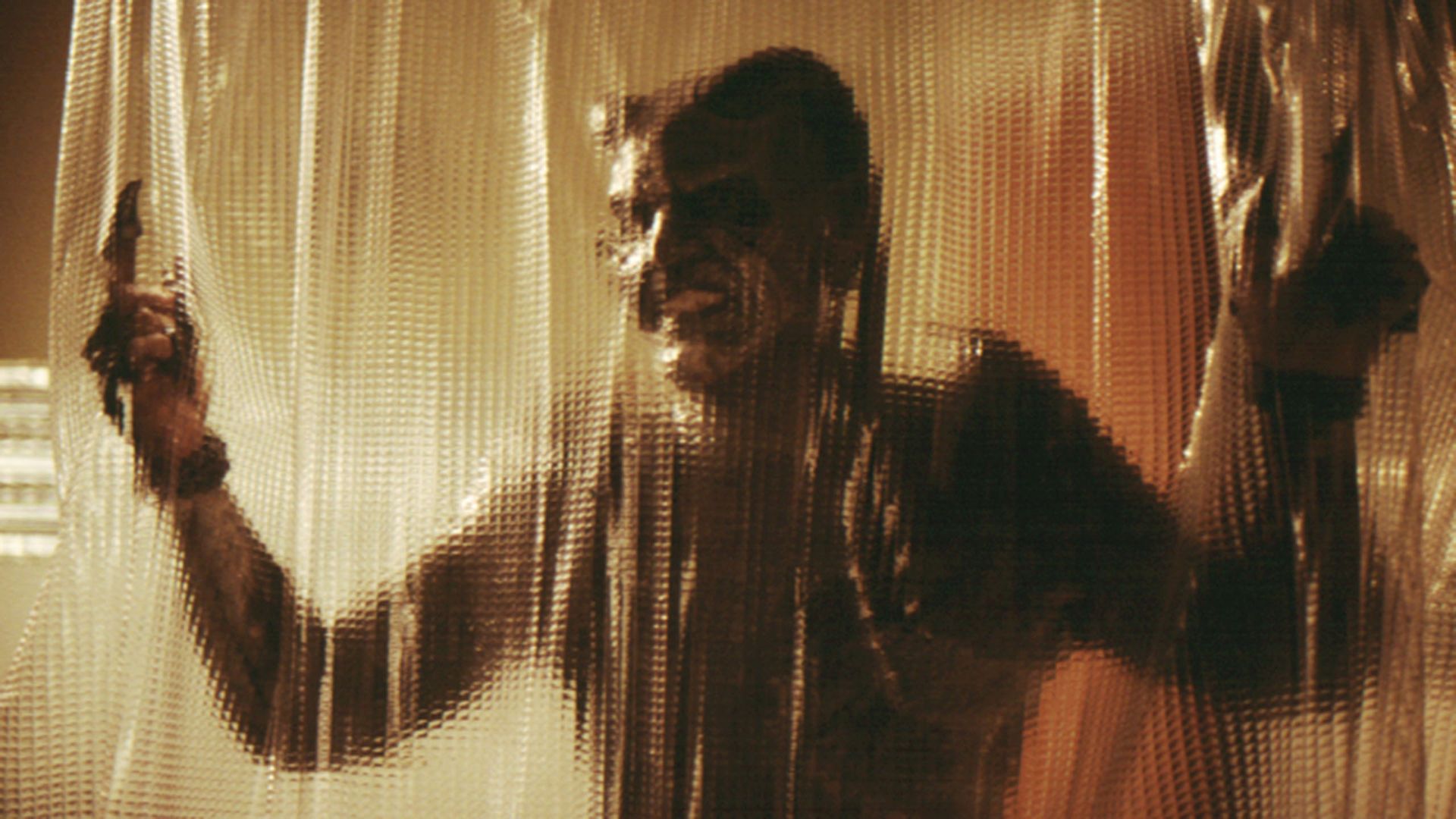 Wishmaster 2: Evil Never Dies Backdrop
