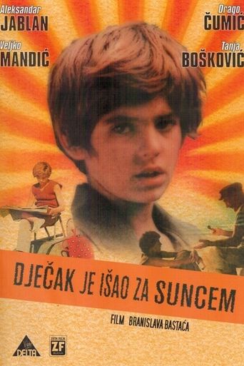 The Boy Who Followed the Sun Poster