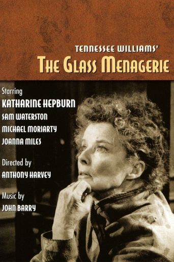  The Glass Menagerie Poster