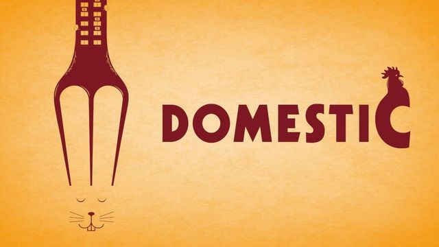 Domestic Backdrop
