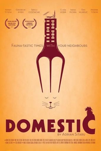  Domestic Poster