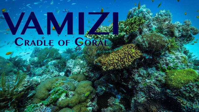 Vamizi Cradle of Coral Backdrop