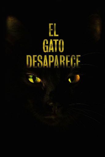  The Cat Vanishes Poster