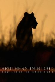 Brothers in Blood: The Lions of Sabi Sand Poster