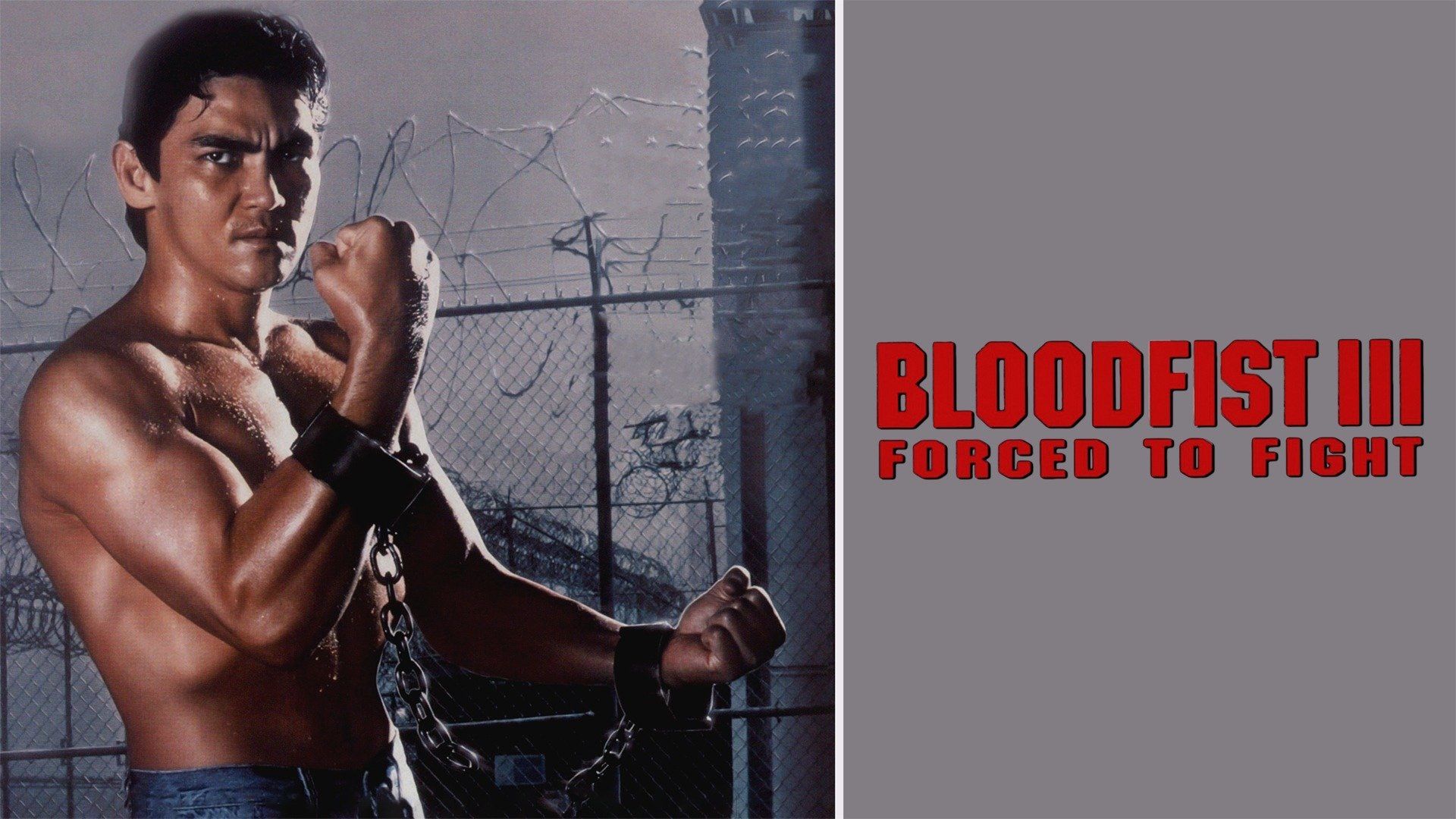 Bloodfist III: Forced to Fight Backdrop