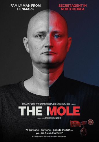  The Mole Poster