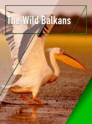  Wilder Balkan Poster