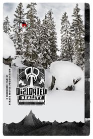  Distorted Reality: A European Snowboard Movie Poster