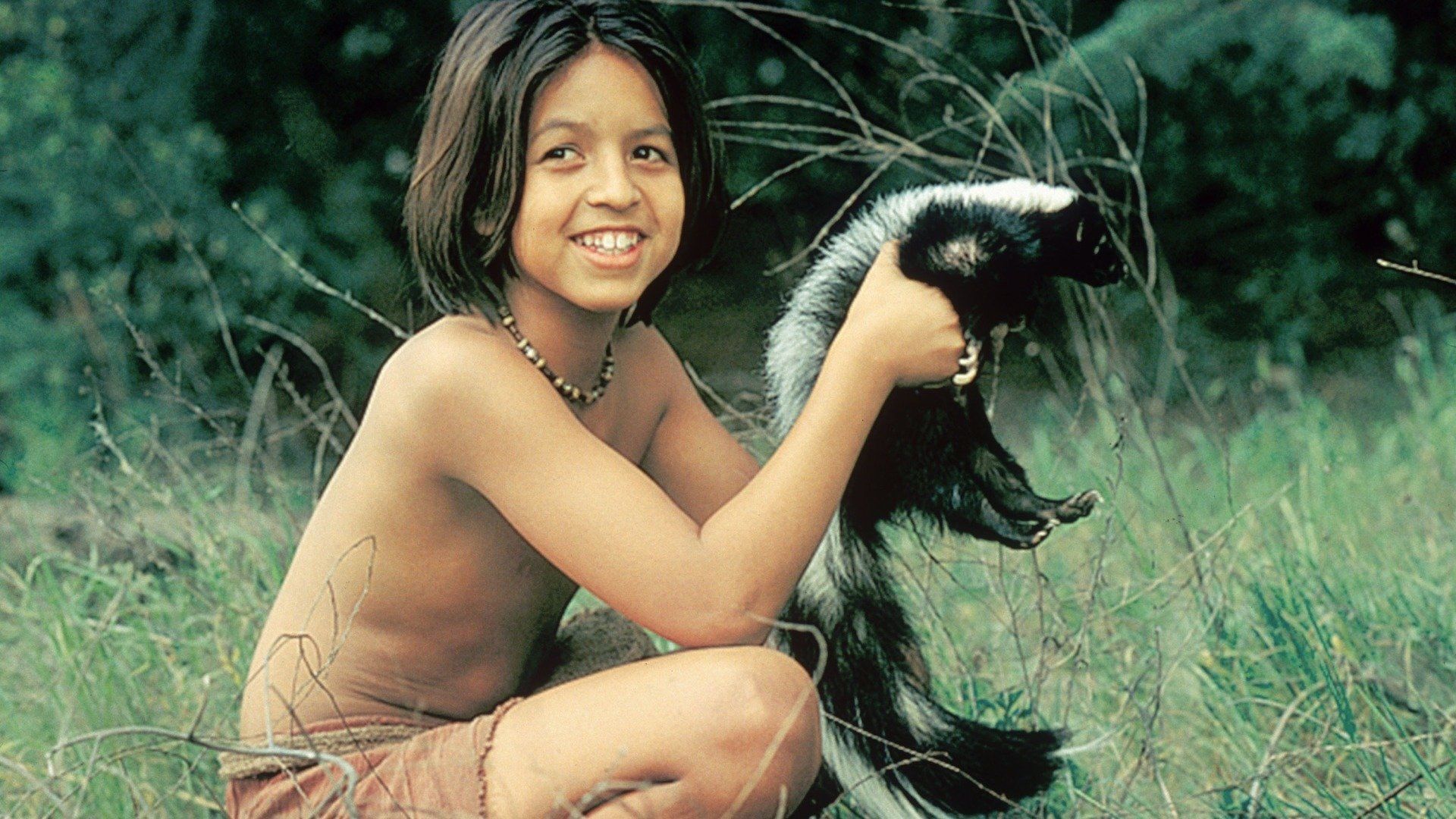 The Jungle Book: Mowgli's Story Backdrop