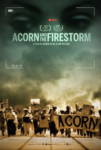  Acorn and the Firestorm Poster