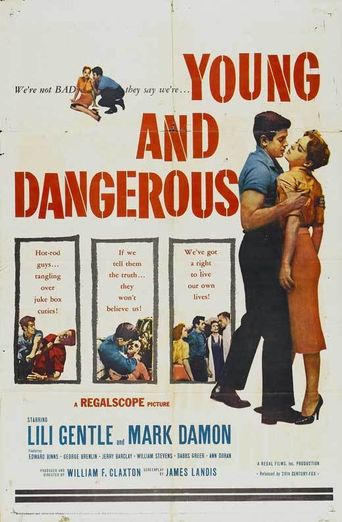  Young and Dangerous Poster