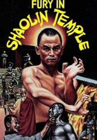  Fury in the Shaolin Temple Poster
