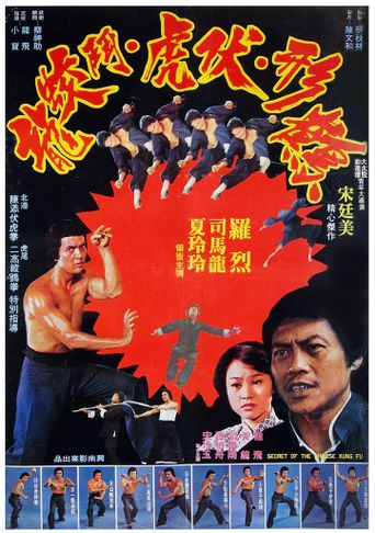  Secret of the Chinese Kung Fu Poster