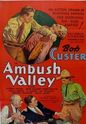  Ambush Valley Poster