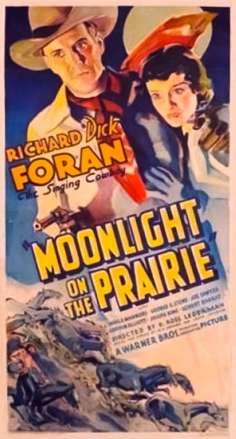  Moonlight on the Prairie Poster