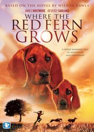  Where the Red Fern Grows Poster