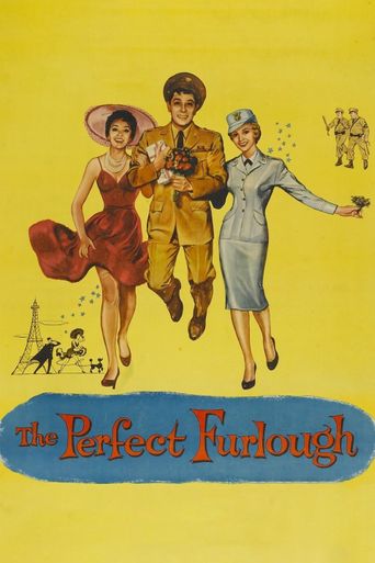  The Perfect Furlough Poster