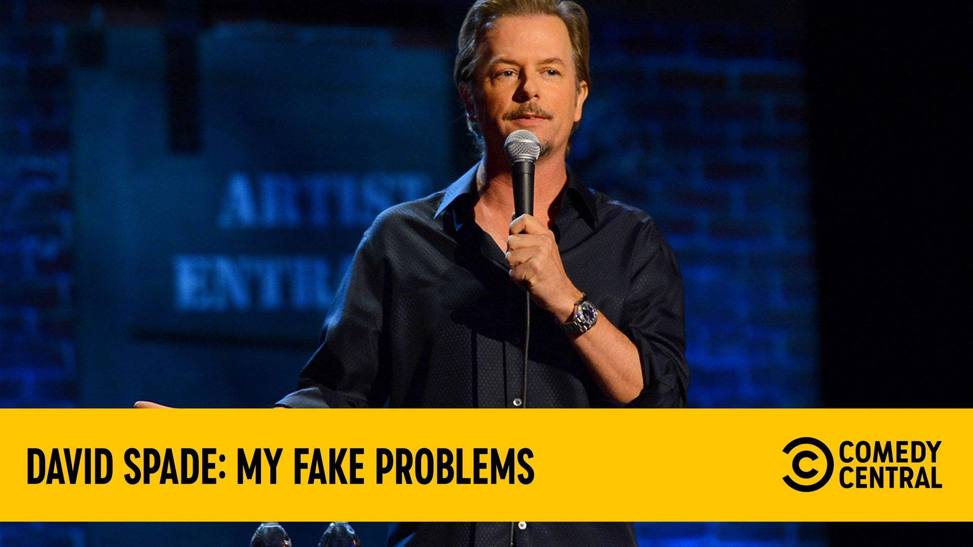 David Spade: My Fake Problems Backdrop