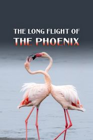  The Long Flight of the Phoenix Poster