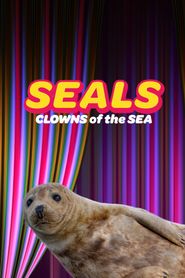 Seals - Clowns of the Sea Poster